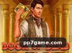 pp7 game Contato - pp7 game